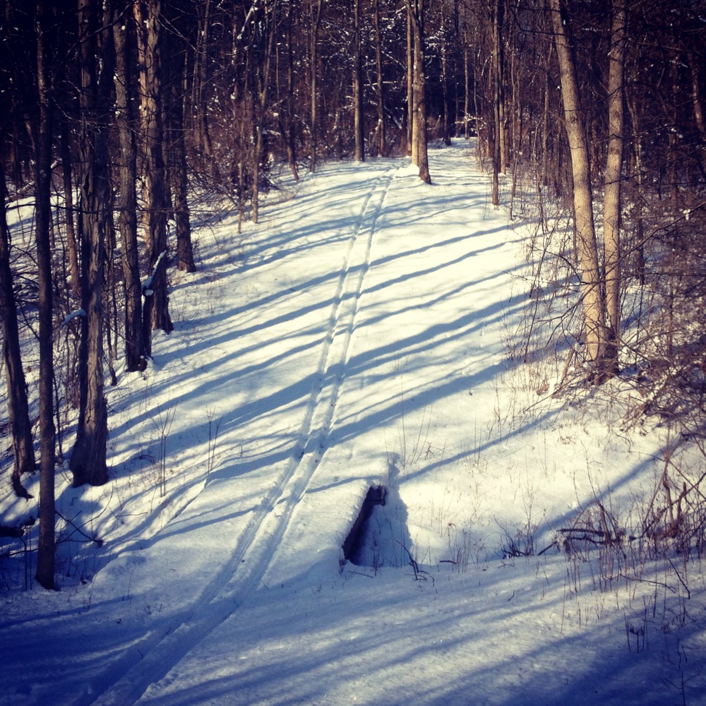 Cross-Country Ski Tracks through Rosslyn’s Hickory Hill (Photo: Geo Davis)