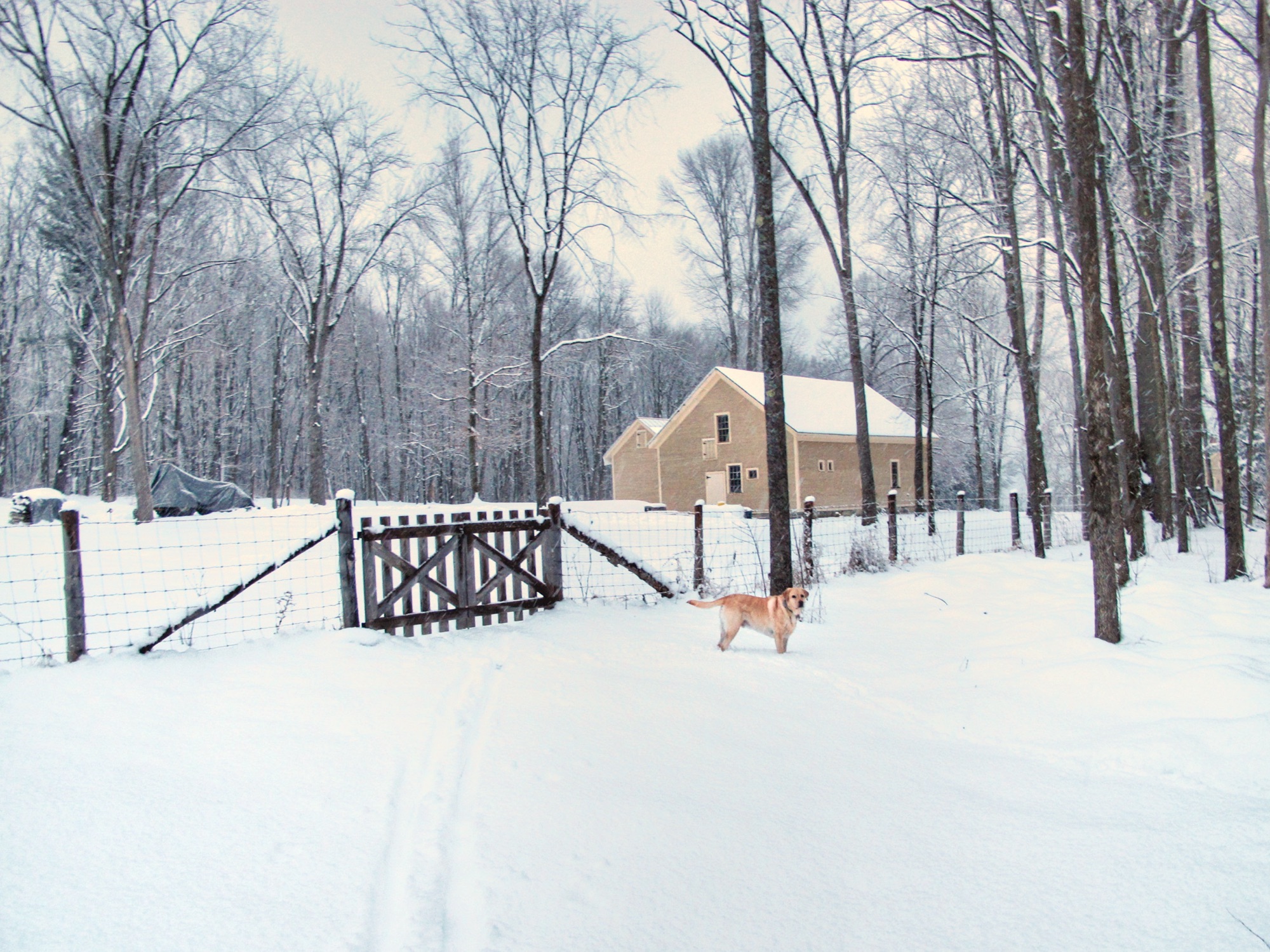 Today? April fools! This photograph of Griffin was actually taken on March 19, 2013. (Photo: Geo Davis)