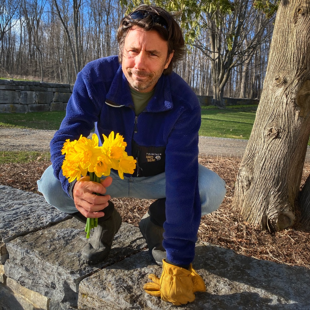 Daffodil Season: April 6, 2020 (Photo: Susan Bacot-Davis)