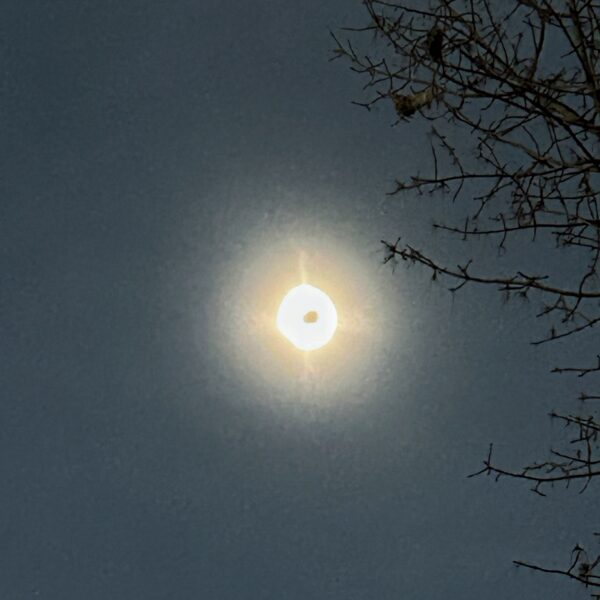 Solar Eclipse (Photo: Glen Gherkins)