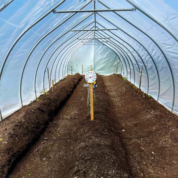 Earth Day: high tunnel ready (Photo: Glen Gherkins)