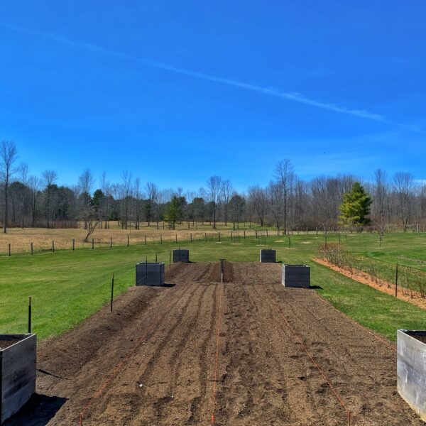 Tilled and Ready to Plant, April 25, 2020 (Photo: Geo Davis)