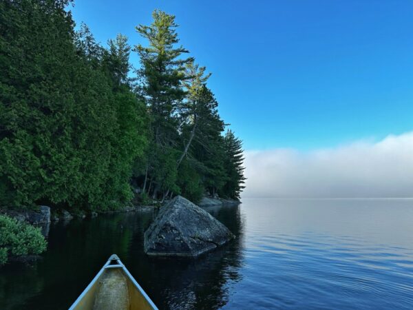 Wild and Free in Algonquin Park (Photo: Geo Davis)