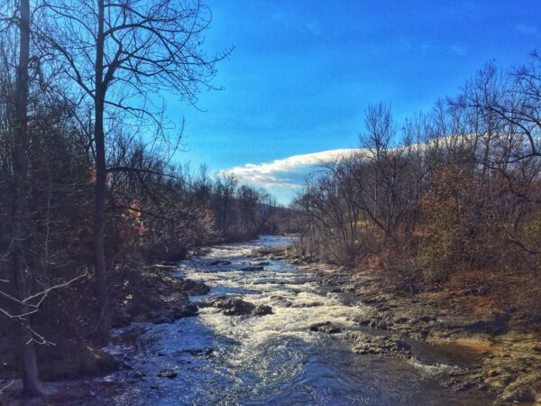 Downriver Drifting, Boquet River, November 3, 2015 (Photo: Geo Davis)