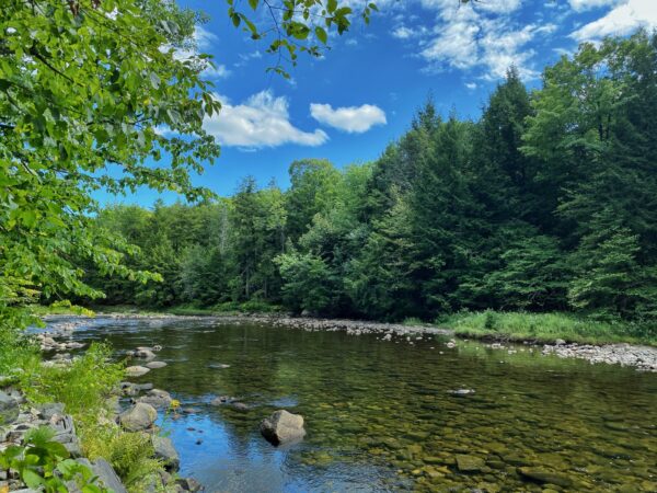 Downriver Drifting, Boquet River, August 31, 2020 (Photo: Geo Davis)