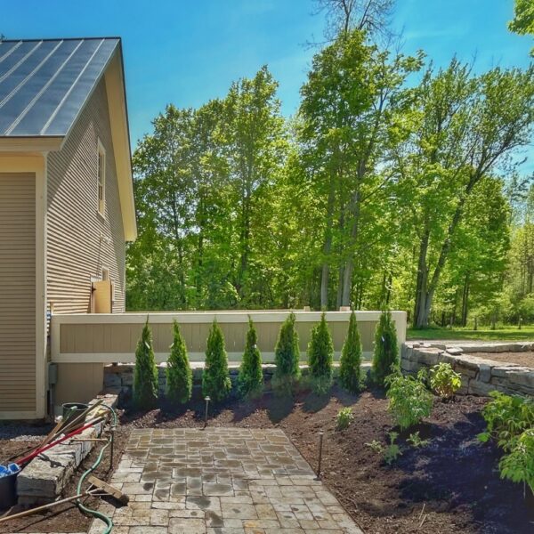 Arborvitae Planted (Photo: Glen Gherkins)